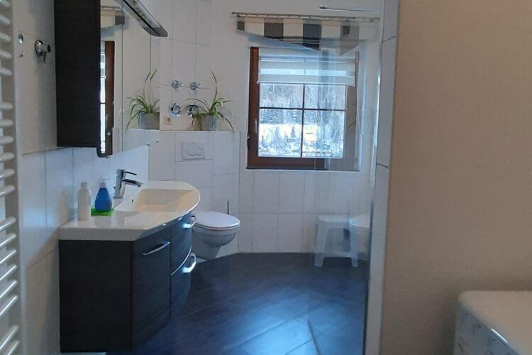 Cozy Apartment In Ore Mountains With Balcony Брайтенбрун Екстериор снимка