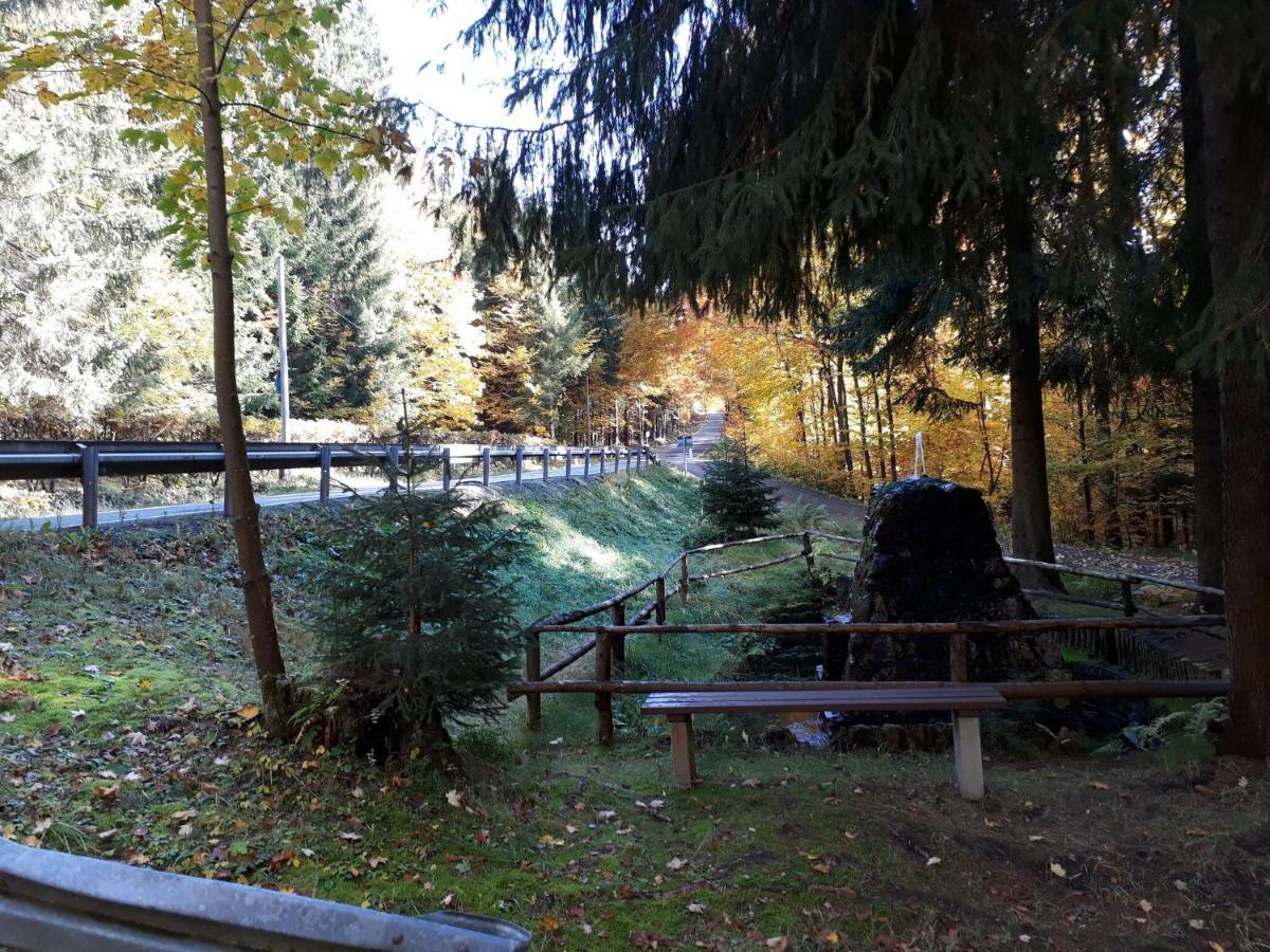 Cozy Apartment In Ore Mountains With Balcony Брайтенбрун Екстериор снимка